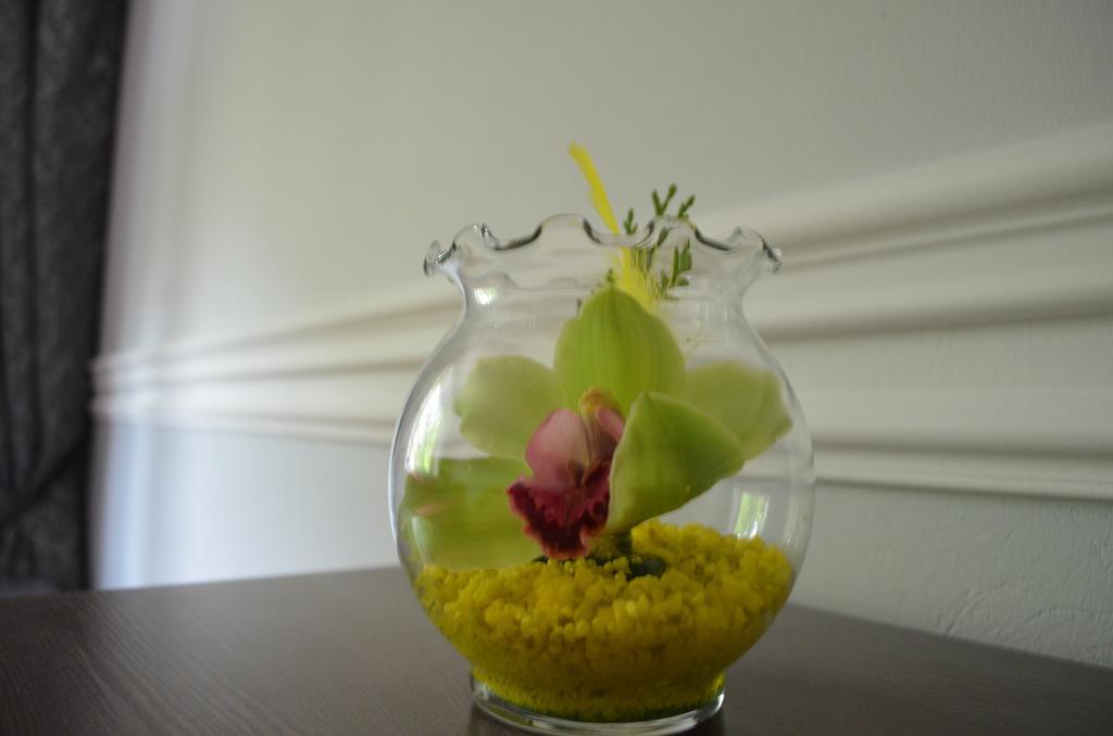 Apartament Orchidea Centrum ワルシャワ 部屋 写真