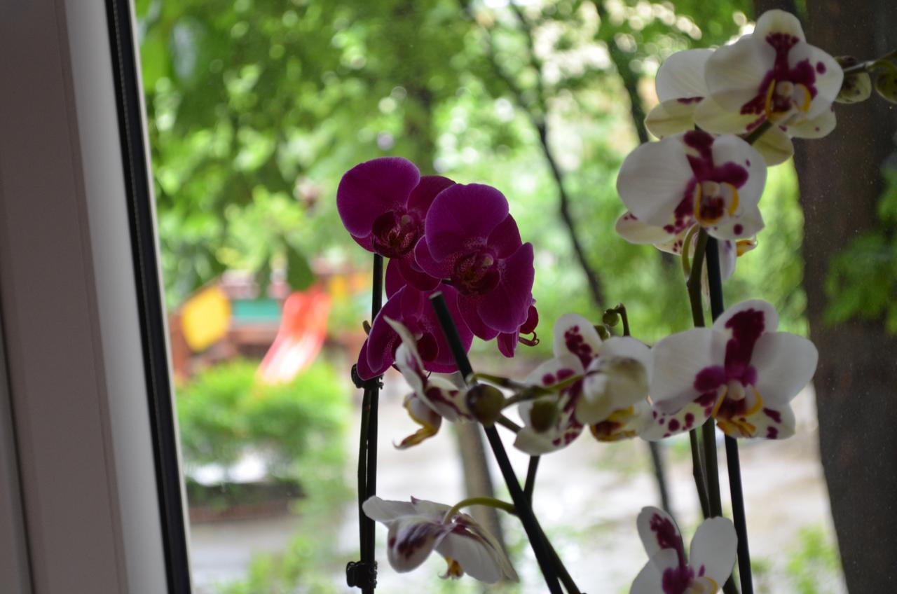 Apartament Orchidea Centrum ワルシャワ エクステリア 写真